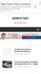 Mobile Screenshot of borut.net